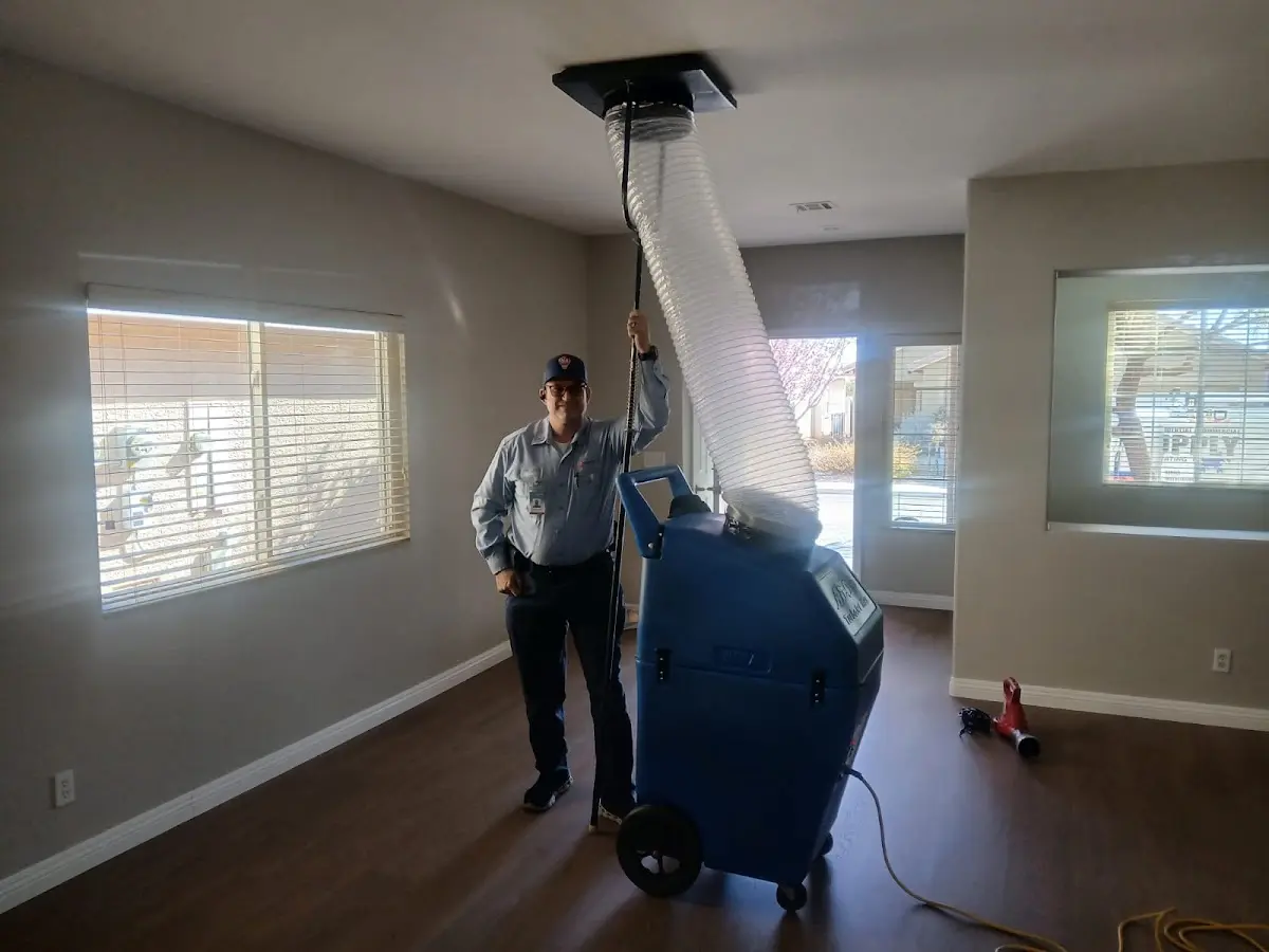 Professional Dryer Vent Cleaning work inside a Tarpon Springs home